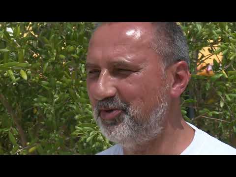 Večera premijera dokumentarne serije Slike rata