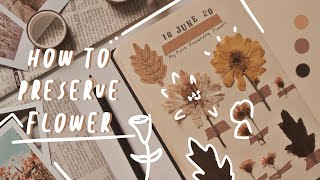 D.I.Y How to Dry and Preserve Flowers for Journal