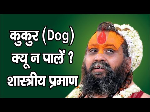 क्यों न पाले कुत्ता !! जो लोग प्रमाण मांगते है अवश्य देखे !! Why should not we put a dog ??