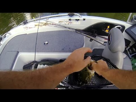 GoPro: Jon Ramey - Best Catch 06.07.15 - Fish