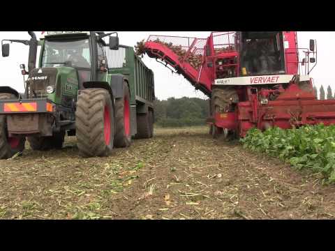 Start of 2014 Sugar Beet Harvest