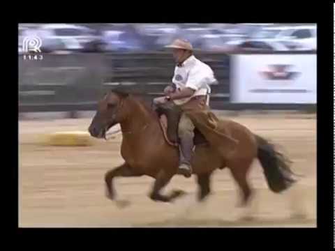 Bocal de Ouro – 1° lugar machos –  Harmonia Ultimato