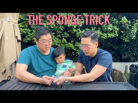 LEARN THIS EASY SPONGE BALL ROUTINE!