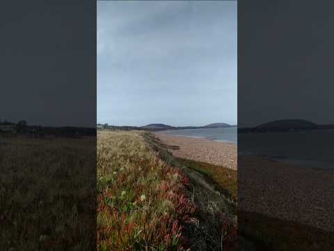 Bajante y calma en Bella Vista📍(Maldonado, #Uruguay )| 4 de Julio -Mediodía 🌵🍃