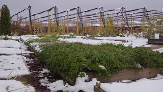 Ինդեքս 24.11.2021