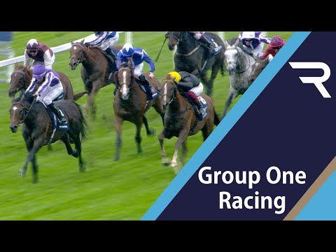2019 Qipco British Champions Long Distance Cup - Racing TV