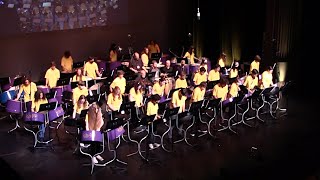 Pan Wizards Steel Orchestra performs \