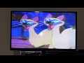 Random Video 37