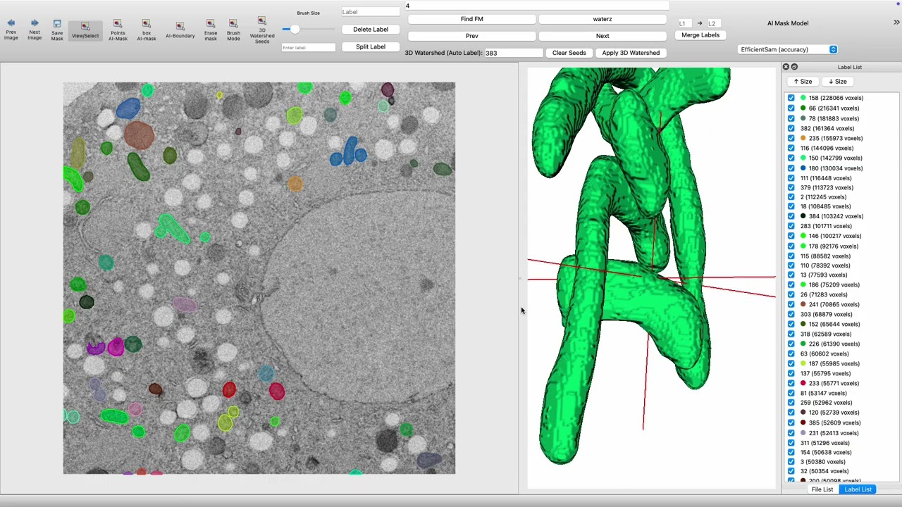 Watershed Segmentation Tutorial