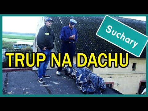 TRUP NA DACHU || Suchary#26