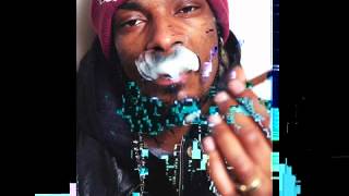 Snoop Dogg -Show You How A Gangsta Do ( HD music)