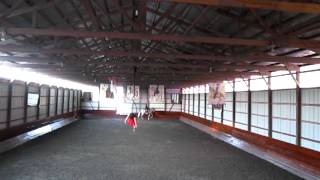 McCrae Farms Montage Performance