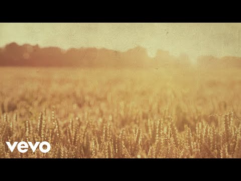 Michael Forster - Cornfield Chase
