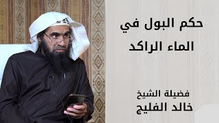 حكم البول في الماء الراكد image