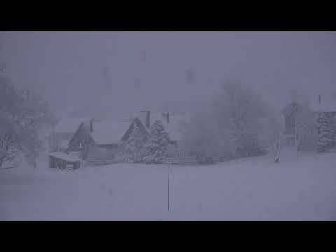 10 HORAS SONIDO DE TORMENTA DE NIEVE PARA DORMIR / BLIZZARD SOUND TO SLEEP ❄️🎧💤❄️🎧💤