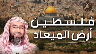 صورة نبيل العوضي | هل اقتربت نهاية اليهود في ارض فلسطين وما هي ارض الميعاد؟