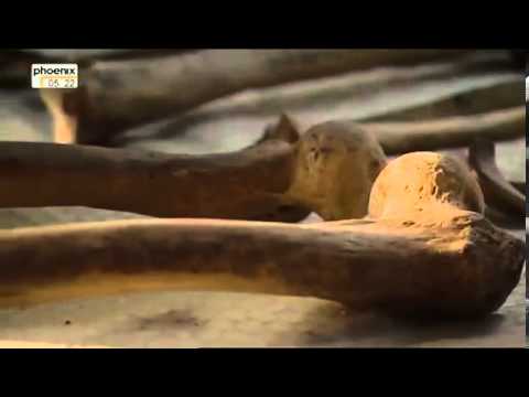 Die Macht der Städte, Karthago - Metropolis - Teil 1