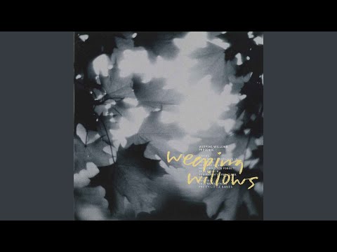 Call Me Anything - Weeping Willows