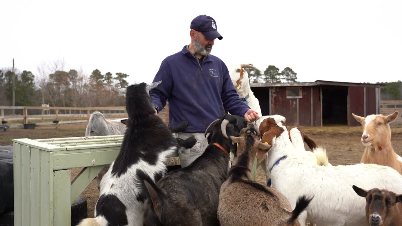 Hero Kids Foundation x Thrive Causemetics grant video