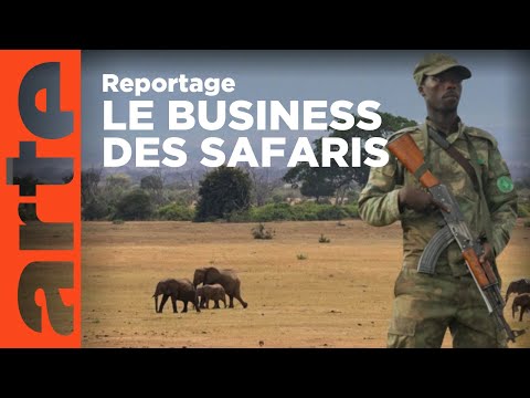 Afrique : safaris et bonnes bonnes affaires | ARTE Reportage
