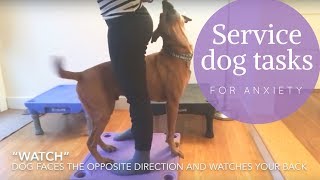 Service Dog Tasks for Anxiety - Body Blocks