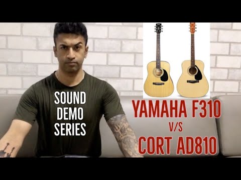 Cort Ad810 vs. Yamaha F310 Guitar - Sound Demo (All Playing, No talking)