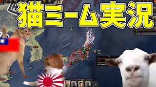 【猫ミーム実況】中華民国の日常【HoI4】【ゆっくり実況】#猫ミーム #猫マニ #catmemes