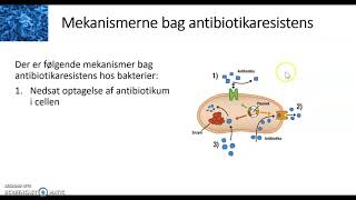 Antibiotika og antibiotikaresistens