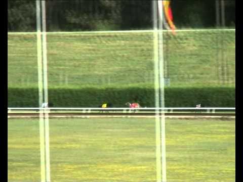 Federation Trophy A2 - 1st semifinal - 2011