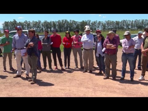 Día de Campo - Unidad Experimental Palo a Pique 2019. Apertura