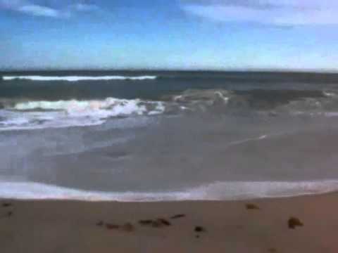 PEACEFUL TRIBUTE to INESSA GALANTE "Panis Angelicus" - Lyric in Info: Original, English and Dutch