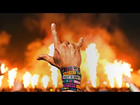 Vini Vici, Timmy Trumpet, Niklas Dee - Party So Hard (Visualizer)