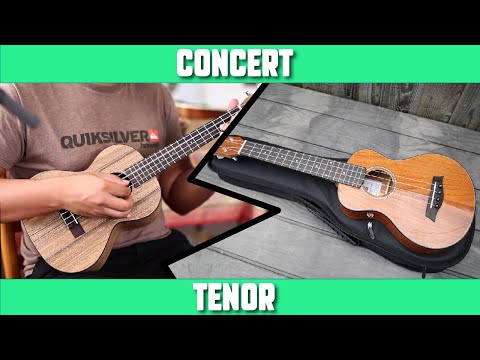 Concert VS Tenor Ukulele 🎸 Which Is Best?