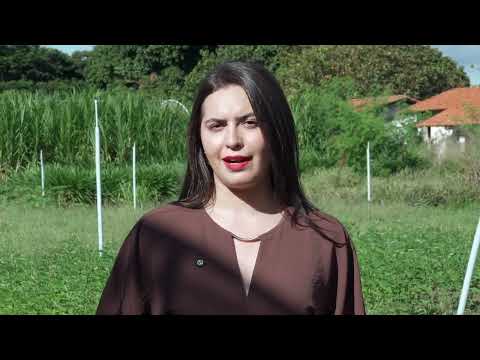 Piauí que Produz (31.05.26) - Projeto de energia solar beneficia agricultores de José de Freitas