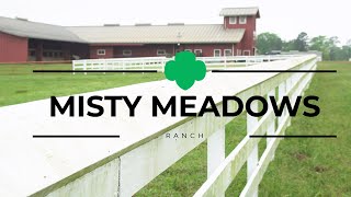 Misty Meadows
