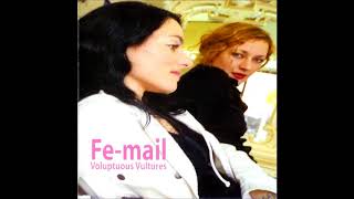 Fe-Mail - Voluptuous Vultures  [Electronics/Experimental, Norway, 2006]