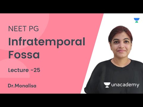 Infratemporal Fossa | NEET PG 2021 | Let's Crack NEET PG  | Dr. Monalisa