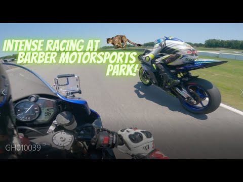 Racing from a Racer's Perspective | Barber Motorsports Park | C Superstock | 2019 Yamaha R6