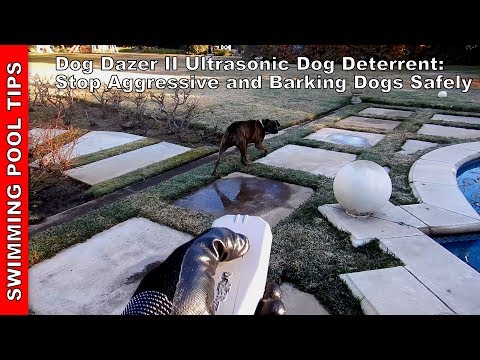 YouTube video about: Does ultrasonic sound hurt dogs?