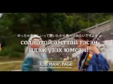 mongol tsuivan her ve😂