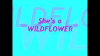 WildFlower Lauren Alaina (lyrics on screen)