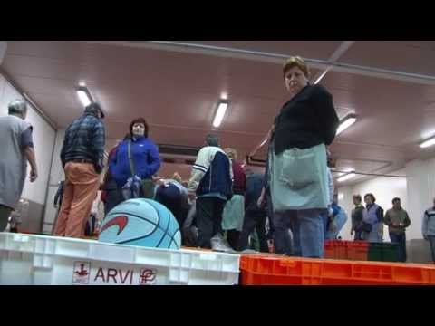 VIDEO PROMOCIONAL PEIXE