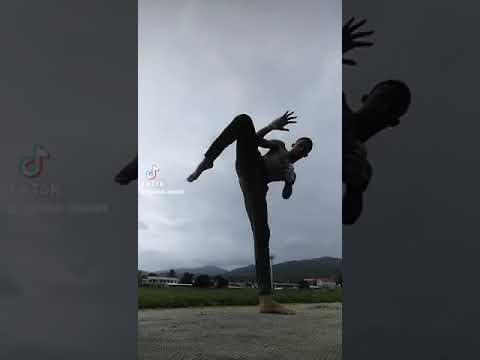 SPARRING AND TECHNIC TRAINING