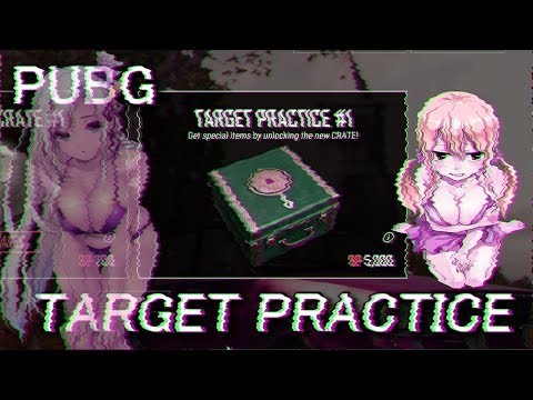 target practice pubg