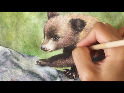 Painting a Bear Cub using Watercolor on Paper