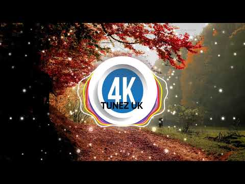 4K Tunez Allstars vs Cat Dealers ft Denis & Miranda - Seatbelt (2020) (4K Tunez UK)