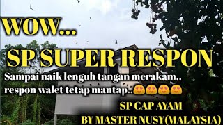 Download lagu SUARA PANGGIL WALET GRATIS YANG SUPER RESPON//SP CAP AYAM BY MASTER NUSY(MALAYSIA) mp3