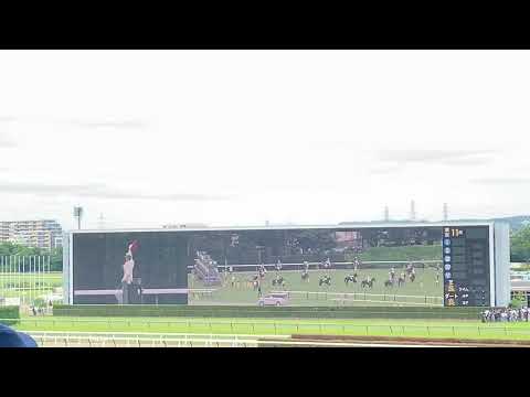 東京11レース 第72回安田記念(GI) ソングライン