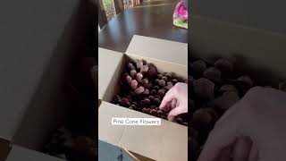 Packing order for my small business *ASMR | Pinecone flowers craft supplies | Pinecone Series