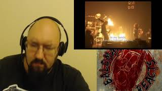 Dir En Grey The Final Reaction. Catchy, accessible, and powerful.